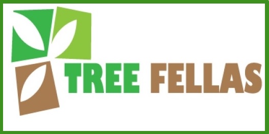 Tree Fellas