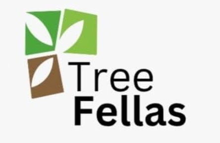 Tree Fellas